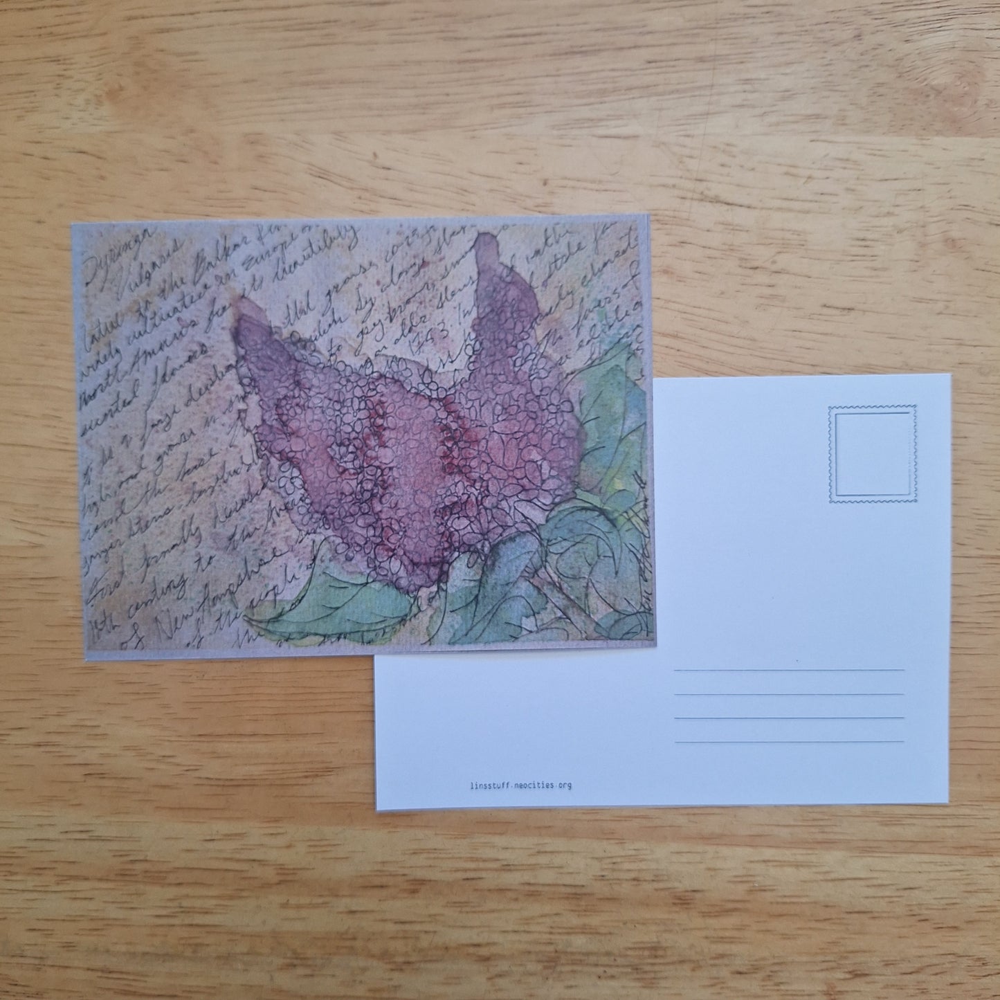 Postcard - Vintage Lilac