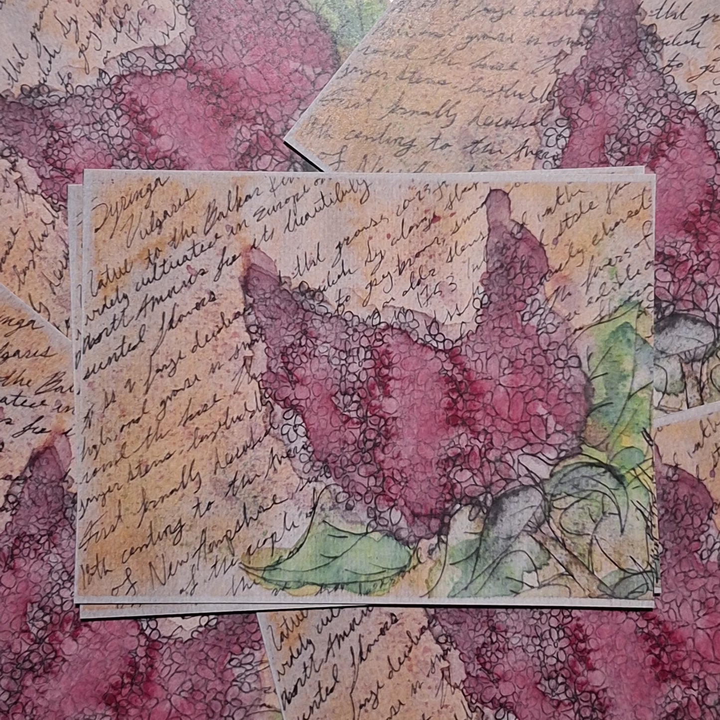 Print - Vintage Lilac