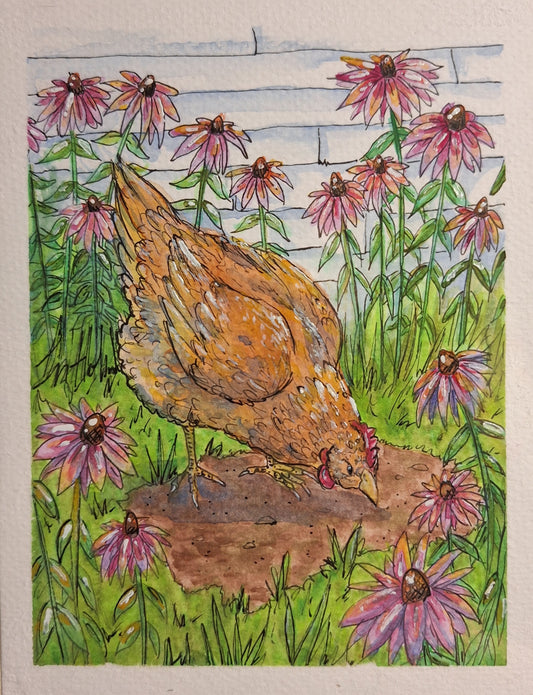 Original - Chicken with Coneflowers - Framed Watercolor