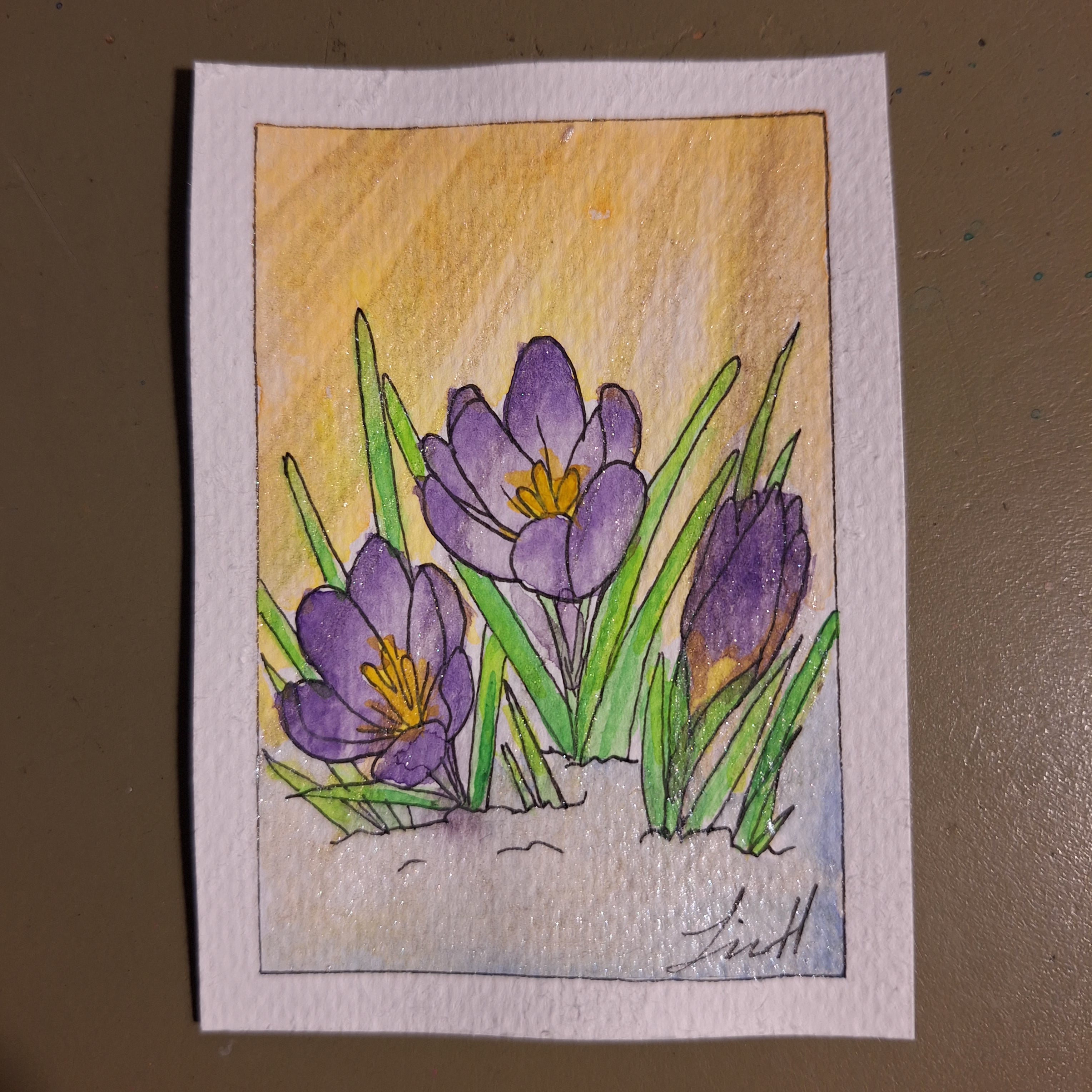 ACEO - Morning Crocus
