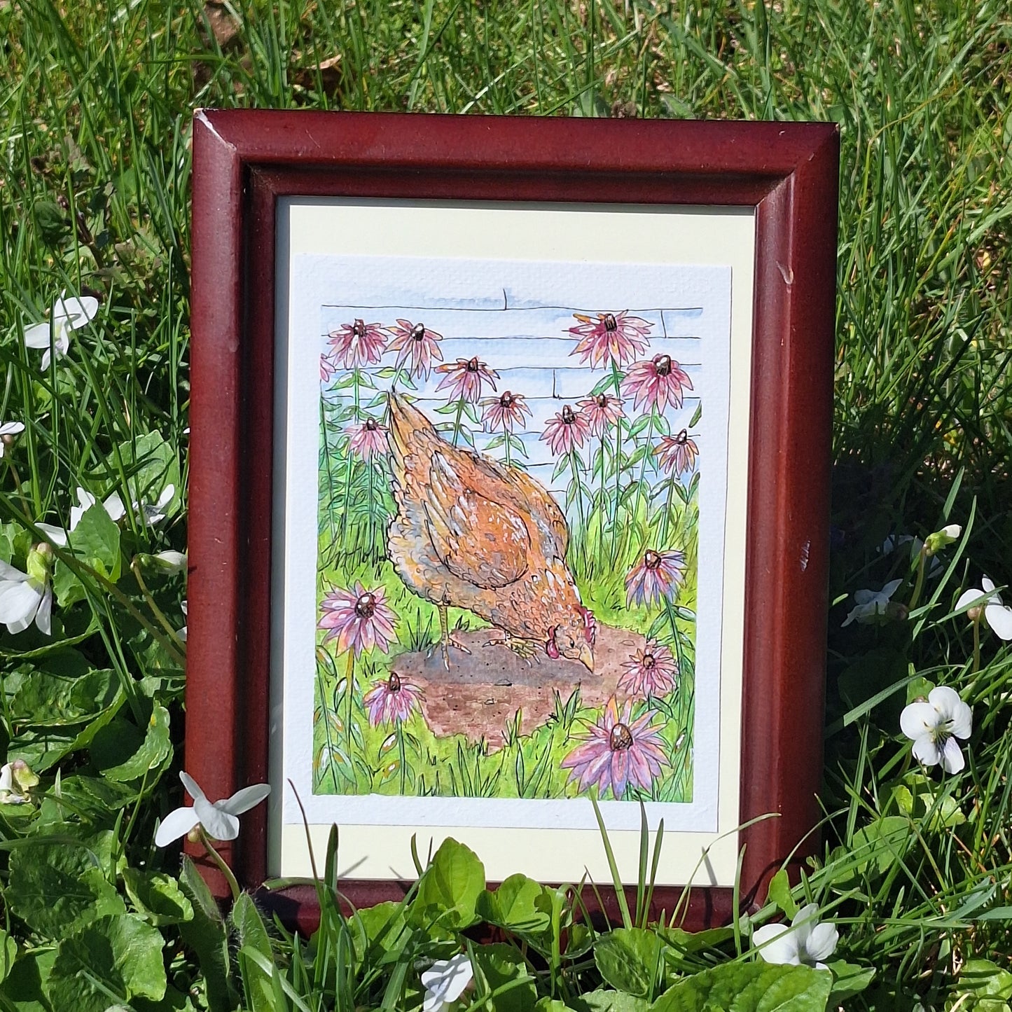 Original - Chicken with Coneflowers - Framed Watercolor
